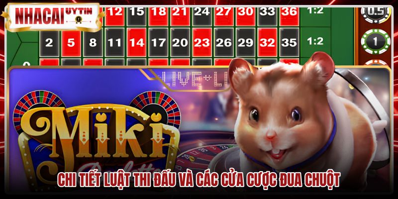 chi-tiet-luat-thi-dau-va-cac-cua-cuoc-dua-chuot Quy tắc đặt cược cùng tỷ lệ thanh toán game Đua chuột