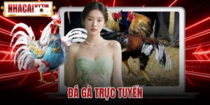 Đá Gà Trực Tuyến - Cơ Chế Vận Hành Và Tỷ Lệ Kèo Chuẩn