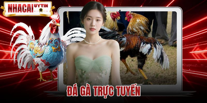 Đá Gà Trực Tuyến - Cơ Chế Vận Hành Và Tỷ Lệ Kèo Chuẩn