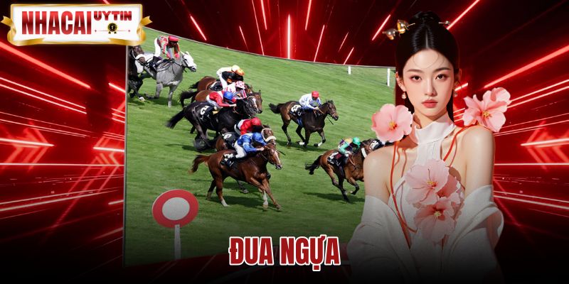 Đua Ngựa - Hướng Dẫn Kèo Cược Và Kỹ Thuật Đọc Racecard