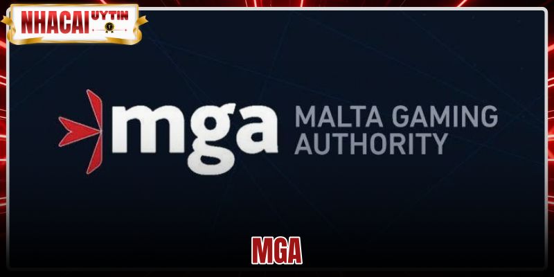 MGA - Tiêu Chuẩn Giấy Phép Và Cách Tra Cứu Chính Thức