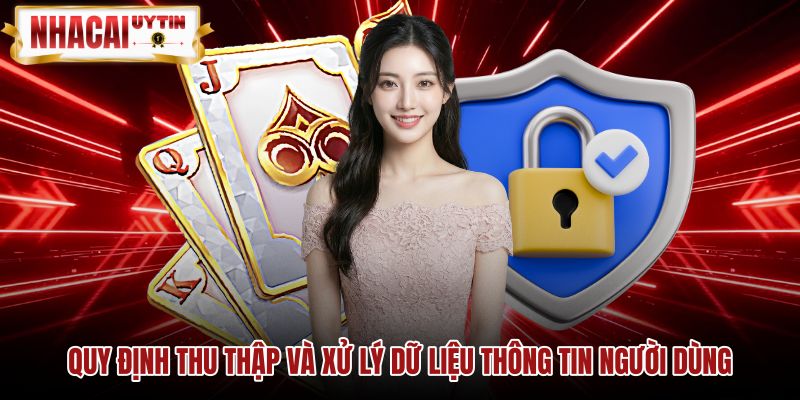 quy-dinh-thu-thap-va-xu-ly-du-lieu-thong-tin-nguoi-dung Chính sách bảo mật quy định thu thập dữ liệu người dùng