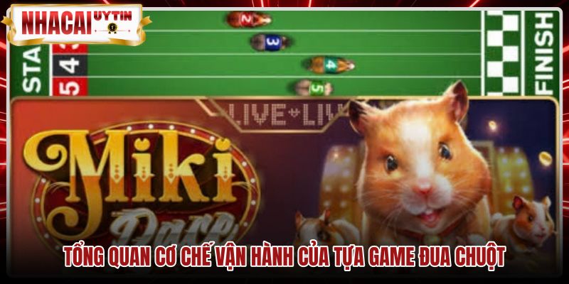 tong-quan-co-che-van-hanh-cua-tua-game-dua-chuot Cơ chế thuật toán ngẫu nhiên trong trò chơi Đua chuột